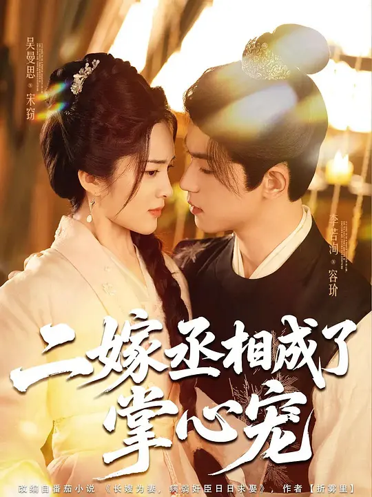 二嫁丞相成了掌心宠